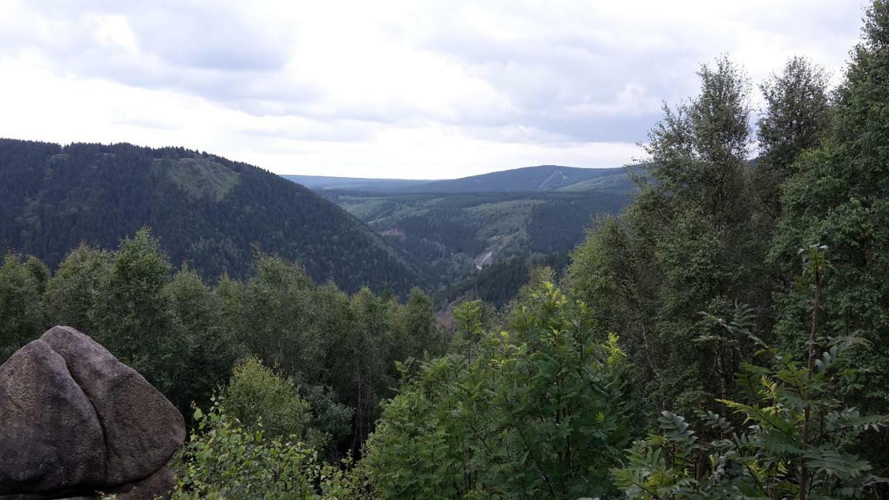 Apartment Kleiner Heinrich Braunlage Dış mekan fotoğraf